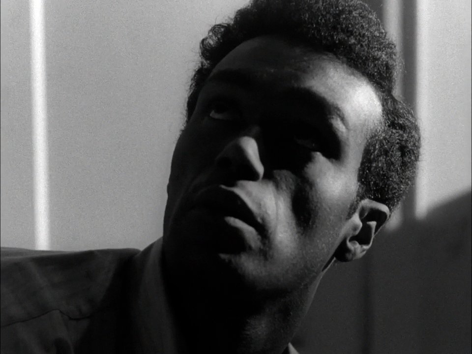 Living Dead Still 37